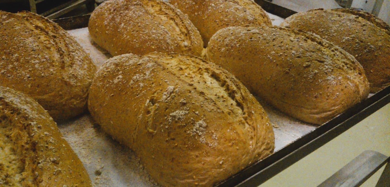 Products top pic bread spelt & honey