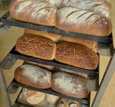 Products Bread Pic Speciality